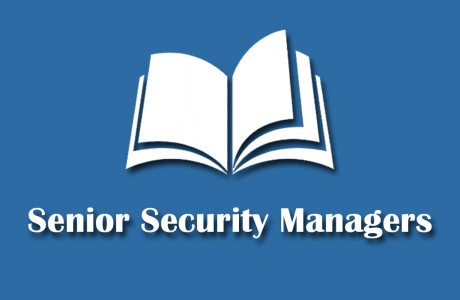 Senior Security Managers